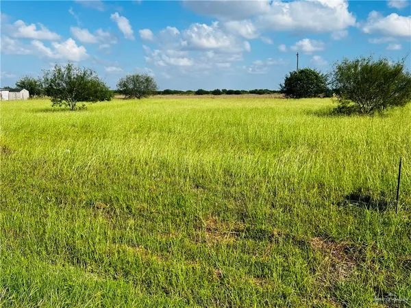 a view of an ocean from a yard