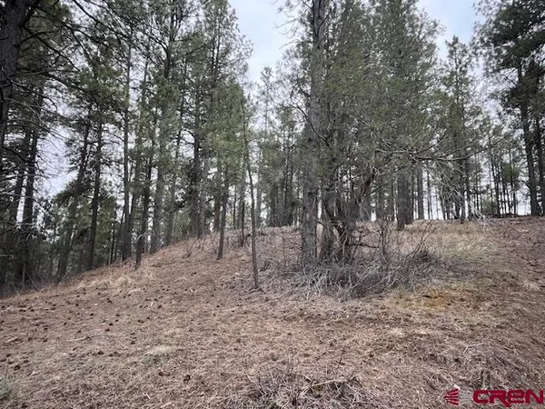 $799,000 | X Berwyn Street, Pagosa Springs, CO 81147