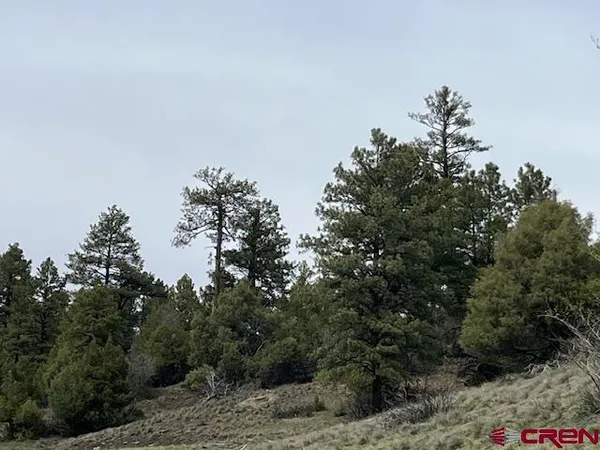 $799,000 | X Berwyn Street, Pagosa Springs, CO 81147