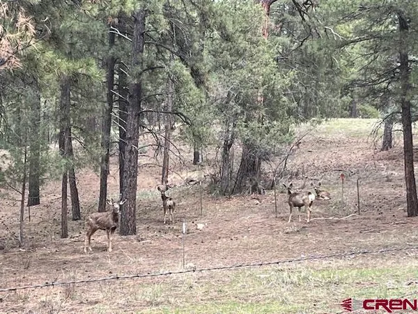 $799,000 | X Berwyn Street, Pagosa Springs, CO 81147
