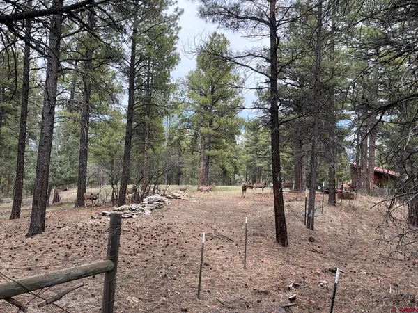 $799,000 | X Berwyn Street, Pagosa Springs, CO 81147