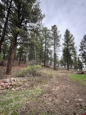 $799,000 | X Berwyn Street, Pagosa Springs, CO 81147