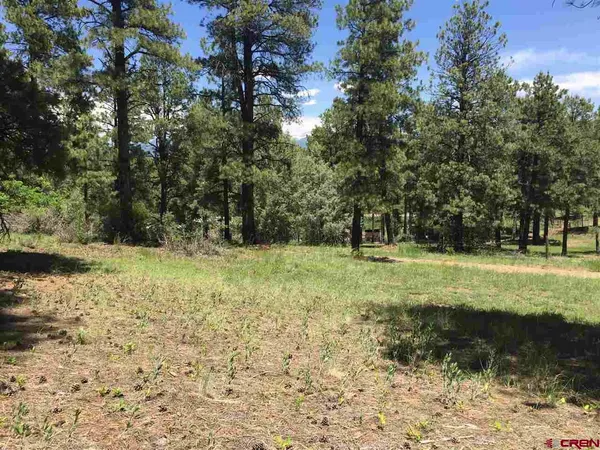 $799,000 | X Berwyn Street, Pagosa Springs, CO 81147