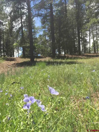 $799,000 | X Berwyn Street, Pagosa Springs, CO 81147
