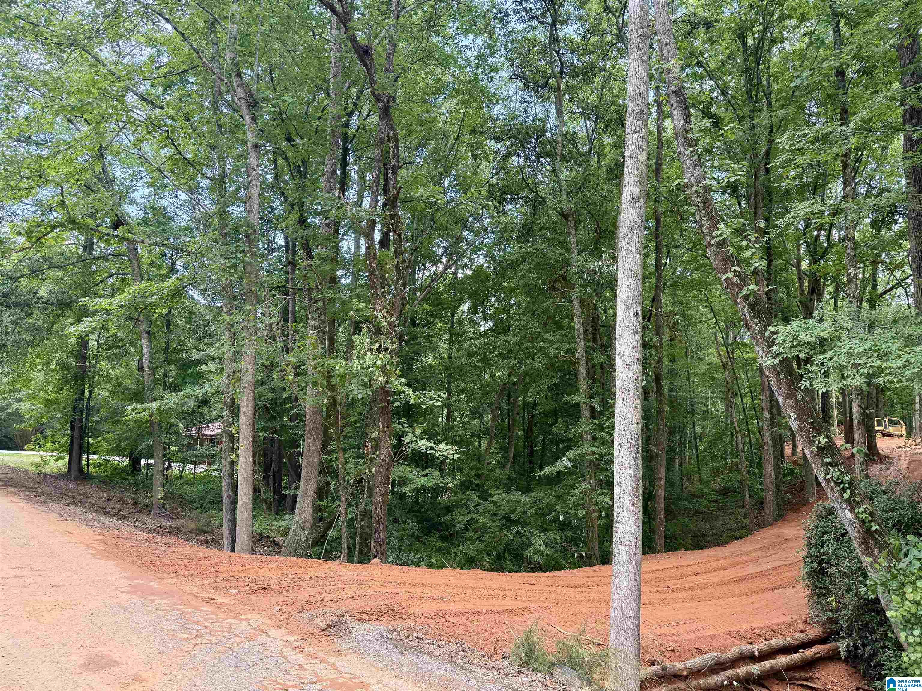 0 Settlement Road Sylacauga, AL 35150 - Photo 7 of 16