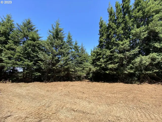 $1,949,000 | Vista Street, Port Orford, OR 97465