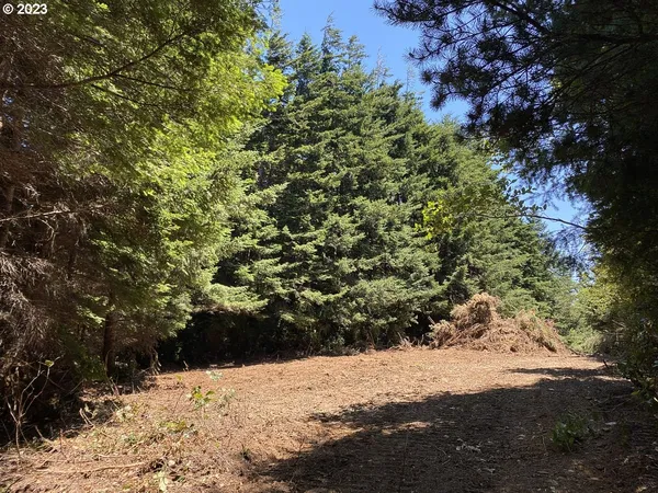 $1,949,000 | Vista Street, Port Orford, OR 97465