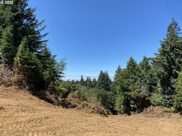 $1,949,000 | Vista Street, Port Orford, OR 97465
