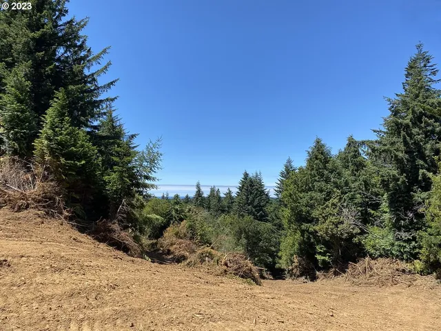 $1,949,000 | Vista Street, Port Orford, OR 97465