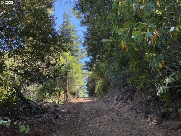 $1,949,000 | Vista Street, Port Orford, OR 97465