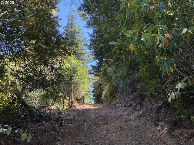 $1,949,000 | Vista Street, Port Orford, OR 97465