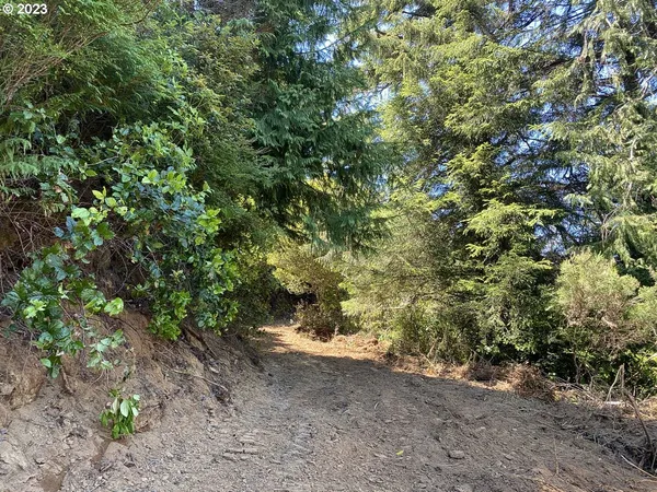 $1,949,000 | Vista Street, Port Orford, OR 97465