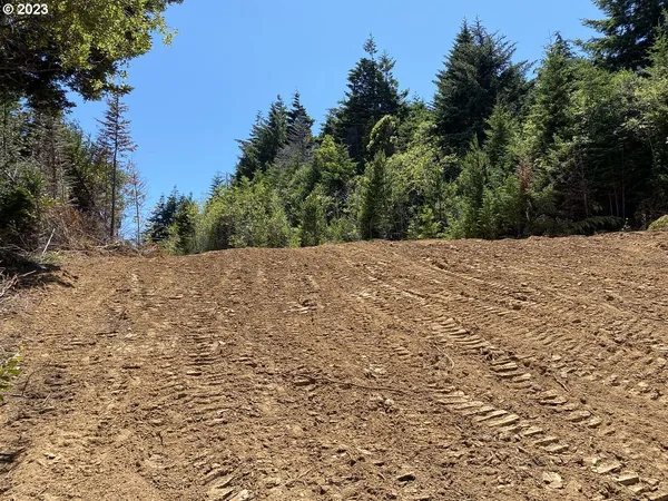 $1,949,000 | Vista Street, Port Orford, OR 97465