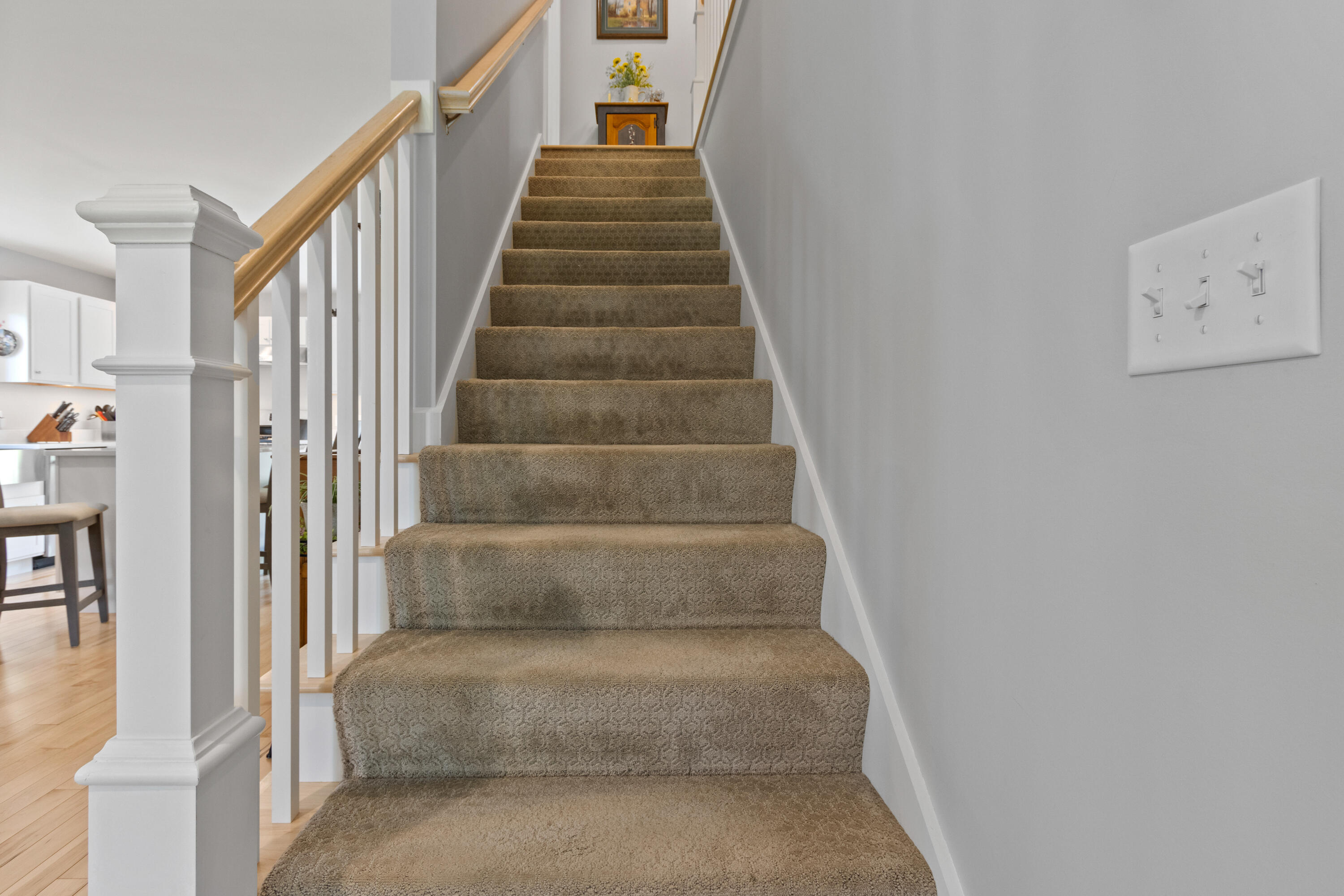 15 Cider Mill Lane Standish, ME 04084 - Photo 26 of 59 20250715SB-71026