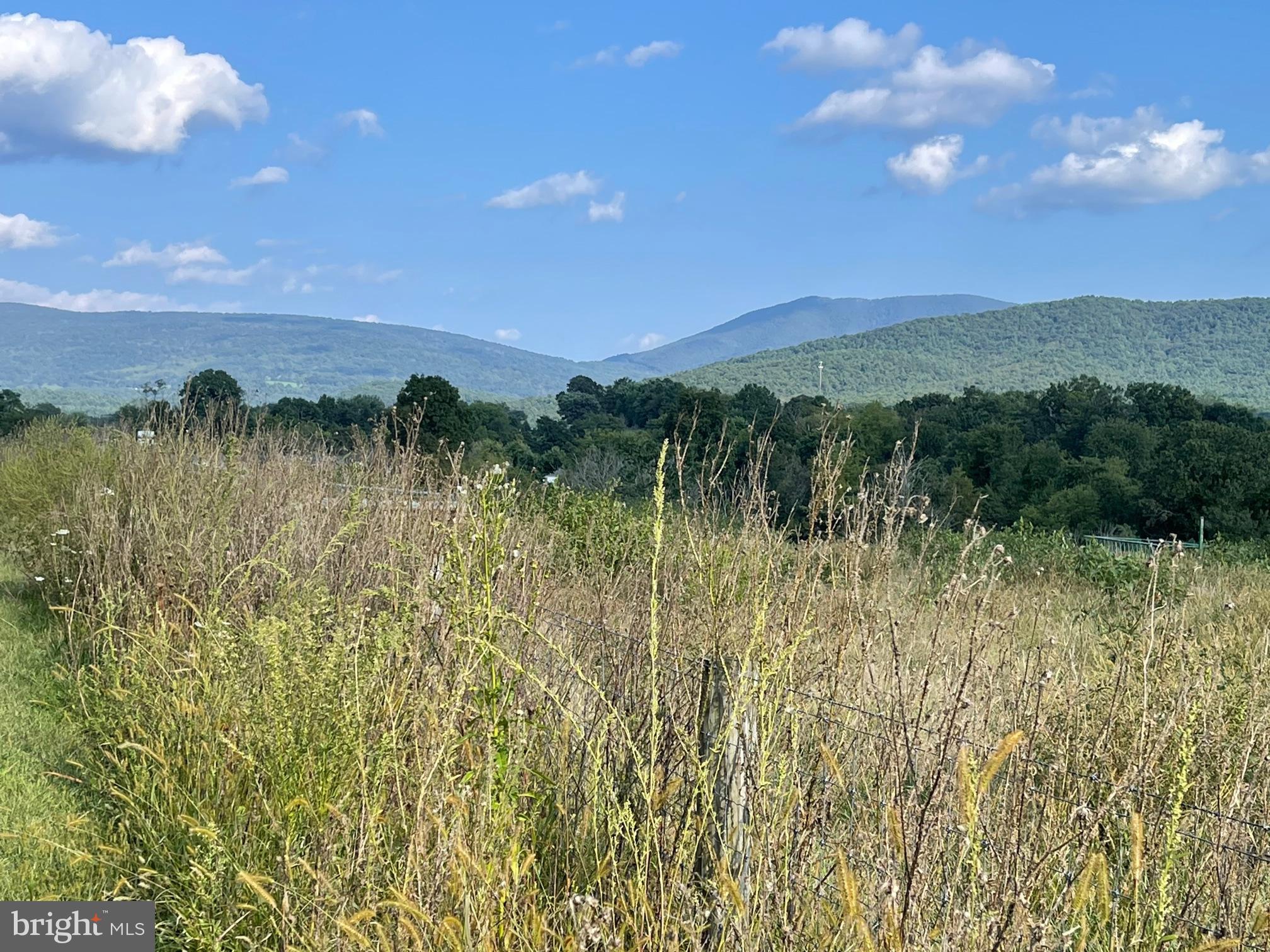 Atkins Drive Luray, VA 22835 - Photo 6 of 9