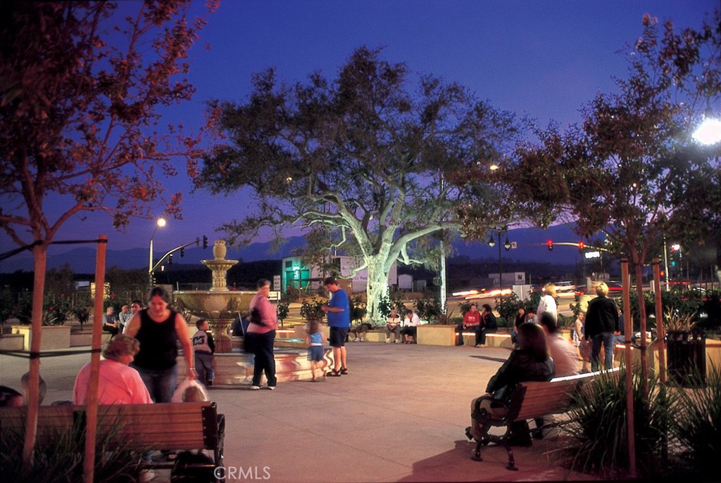 19980 Temescal Canyon Road Corona, CA 92881 - Photo 23 of 24 a view of street with lots of people and trees