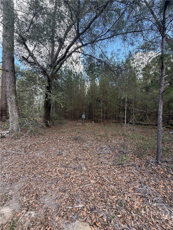 2362 Old Dixie Highway South Springfield, GA 31329 - Photo 6 of 9