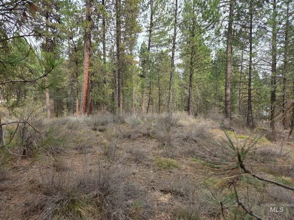 $149,000 | Lot 31 South Meadow Creek, Idaho City, ID 83631