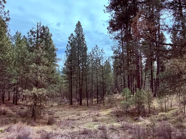 $149,000 | Lot 31 South Meadow Creek, Idaho City, ID 83631