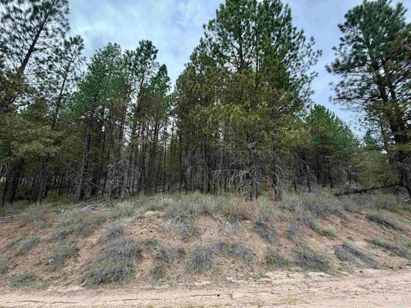 $149,000 | Lot 31 South Meadow Creek, Idaho City, ID 83631