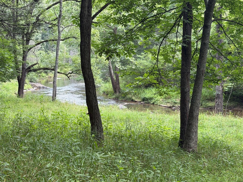 Tbd Hall Hollow Road Austinville, VA 24312 - Photo 45 of 59 Gallery Image 45