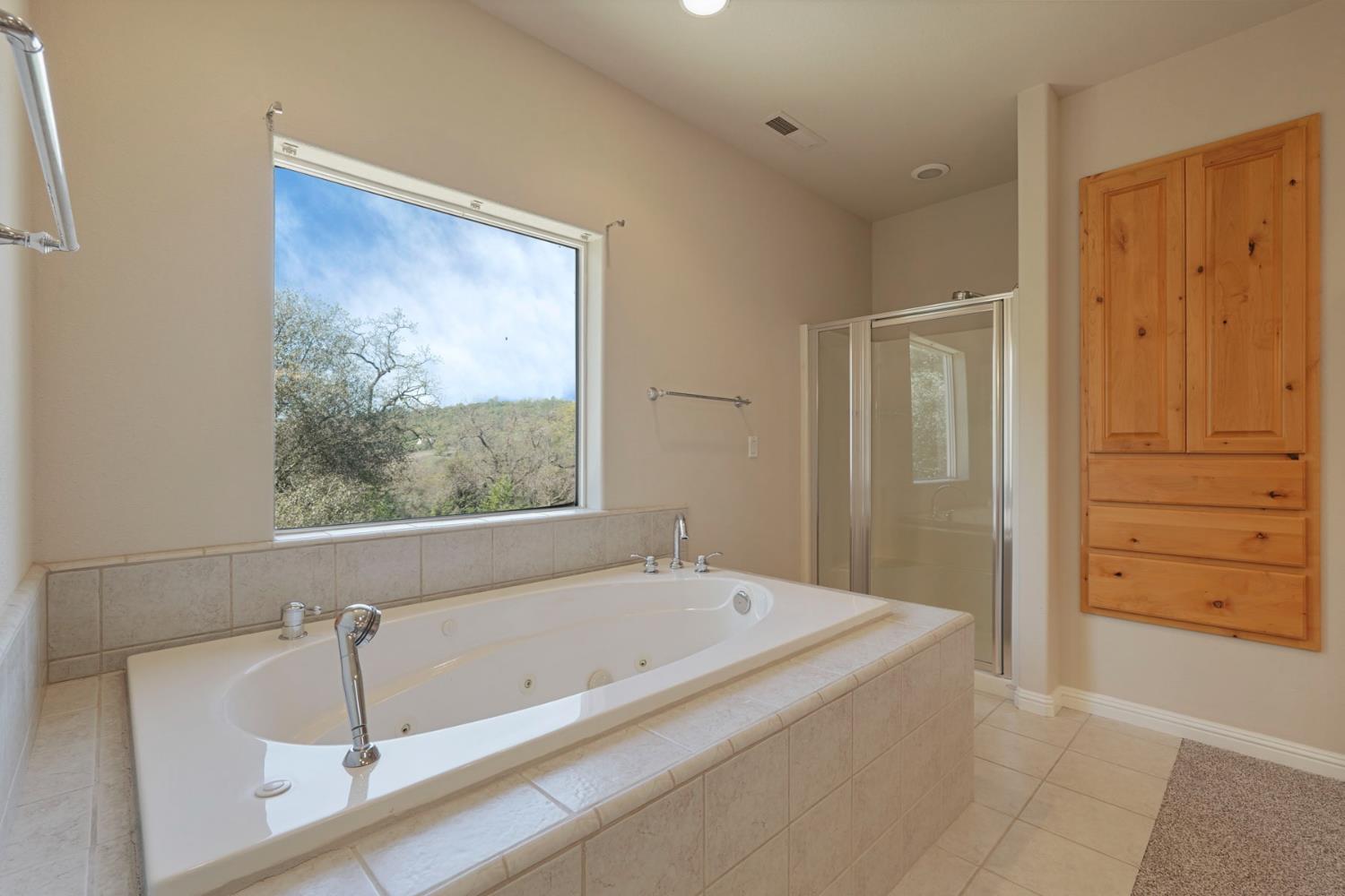 1234 Jackson Gate Road Jackson, CA 95642 - Photo 49 of 59