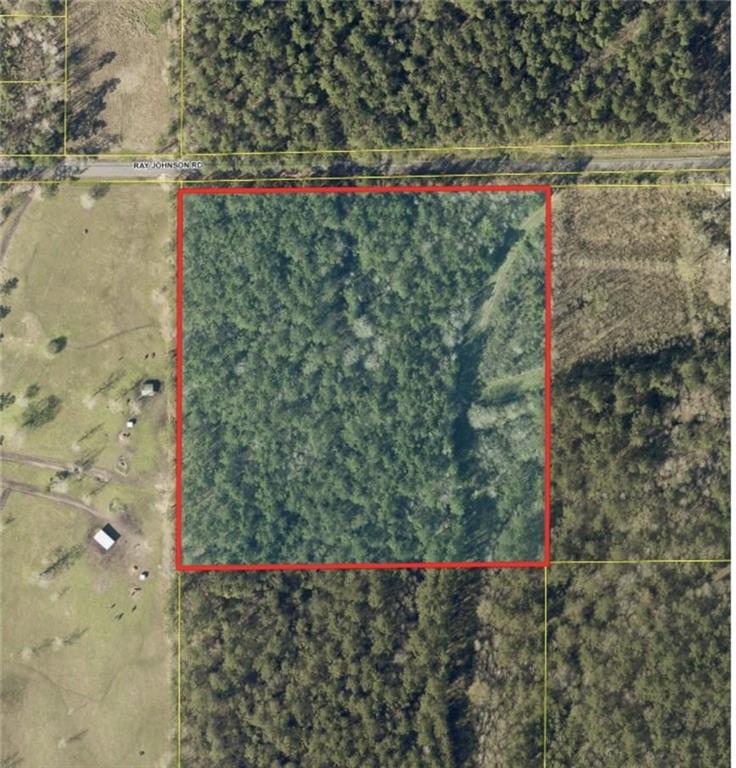 0 Ray Johnson Road Starks, LA 70661 - Photo 1 of 1 Gallery Image 1