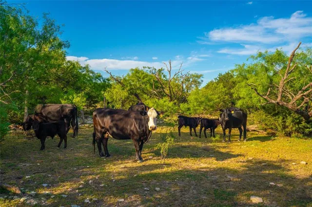 $4,990,000 | 2455 County Road 699, Lometa, TX 76853