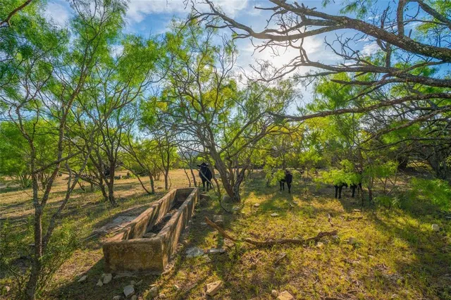 $4,990,000 | 2455 County Road 699, Lometa, TX 76853