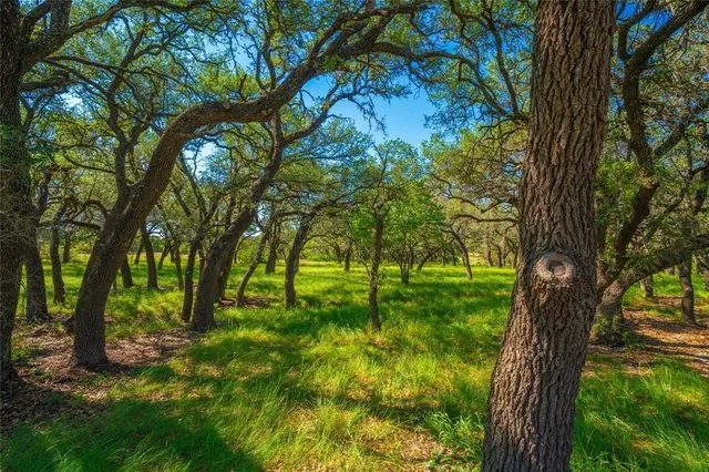 $4,990,000 | 2455 County Road 699, Lometa, TX 76853