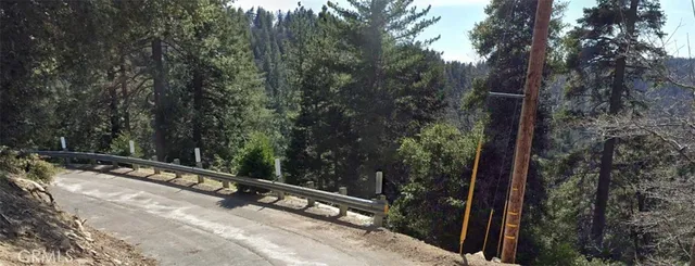 a view of a wooden bridge with a trees