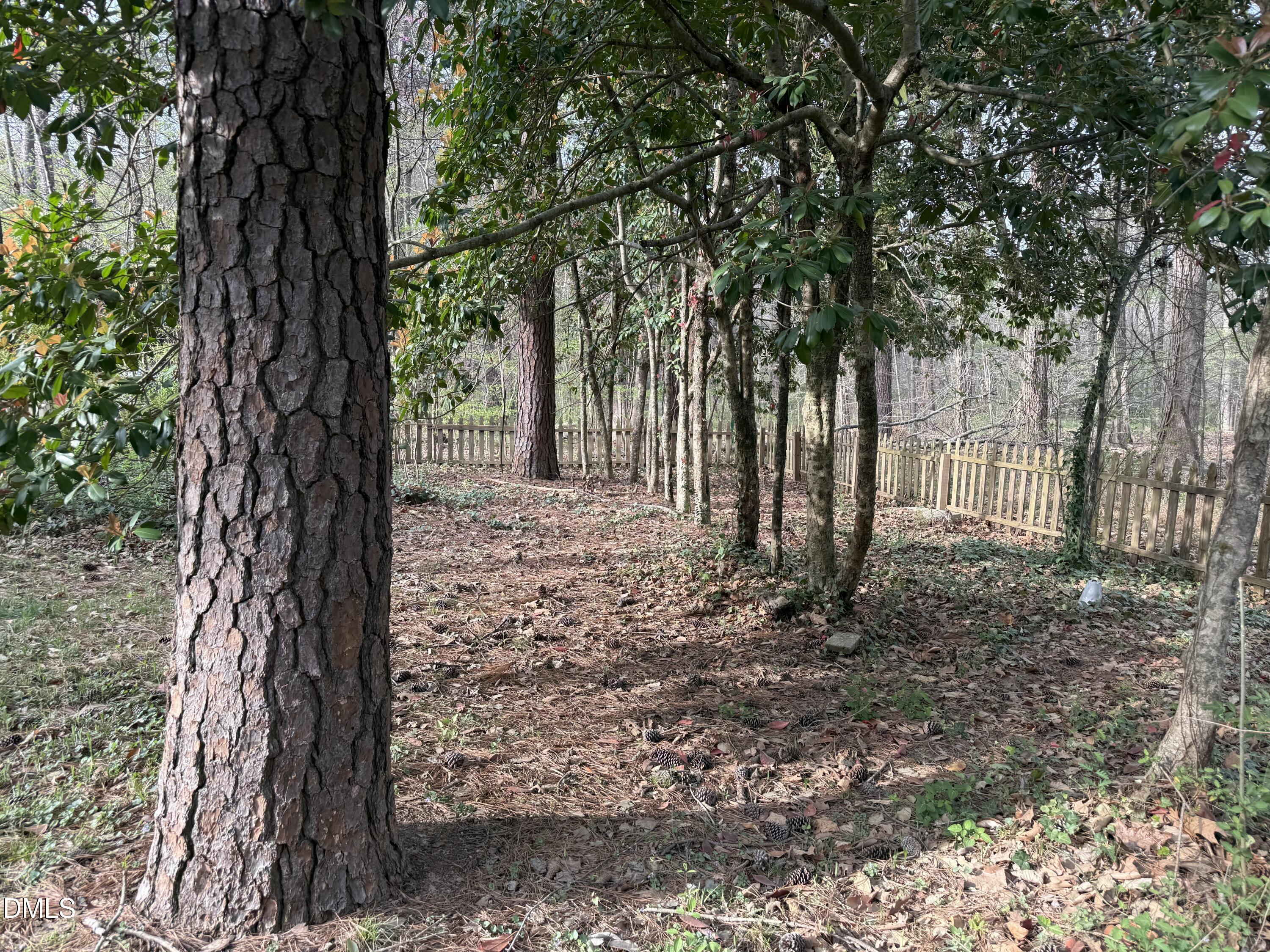 7 Custer Circle Durham, NC 27713 - Photo 16 of 19 IMG_7535