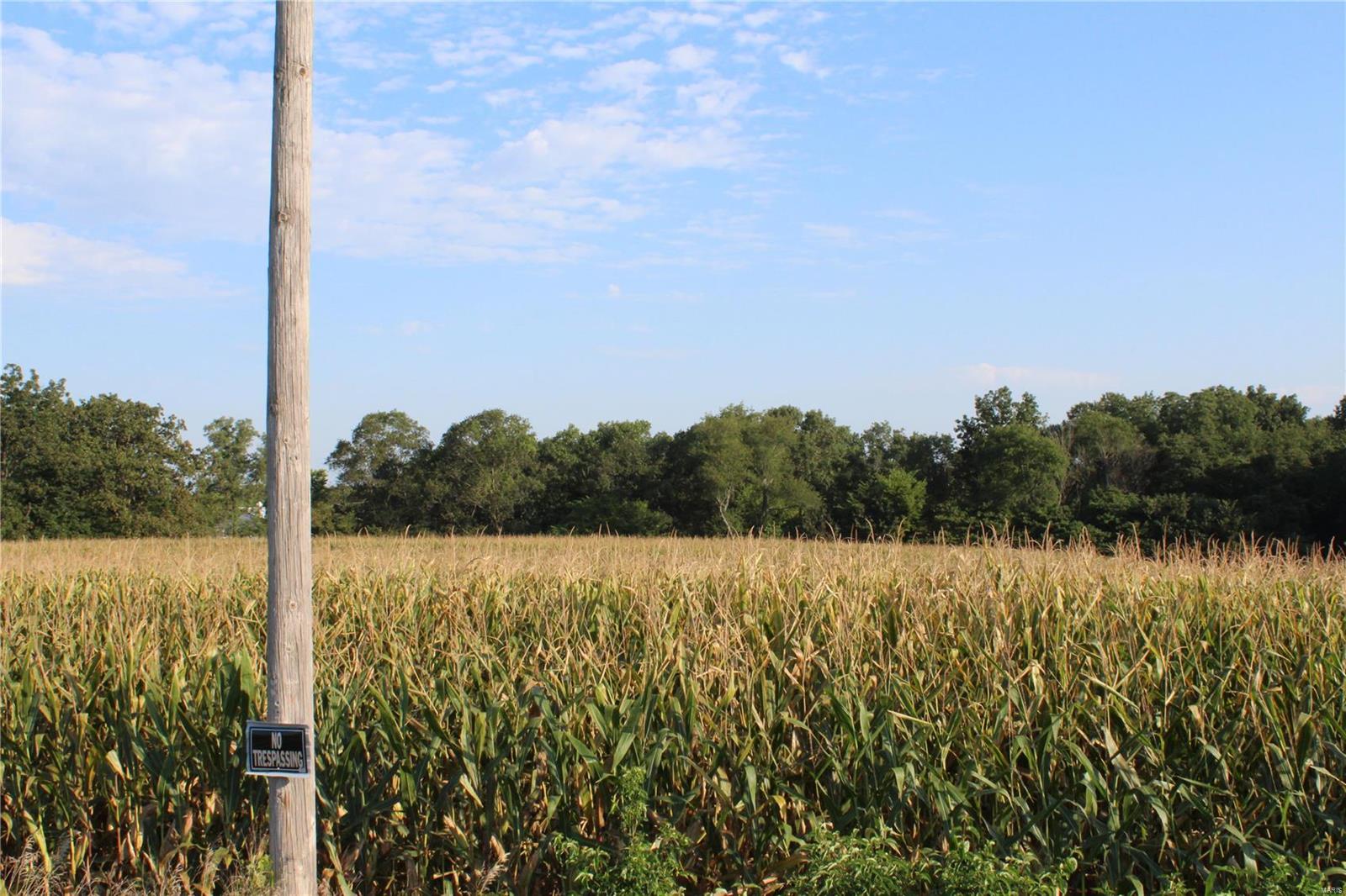 0 Mm Road Red Bud, IL 62278 - Photo 11 of 12