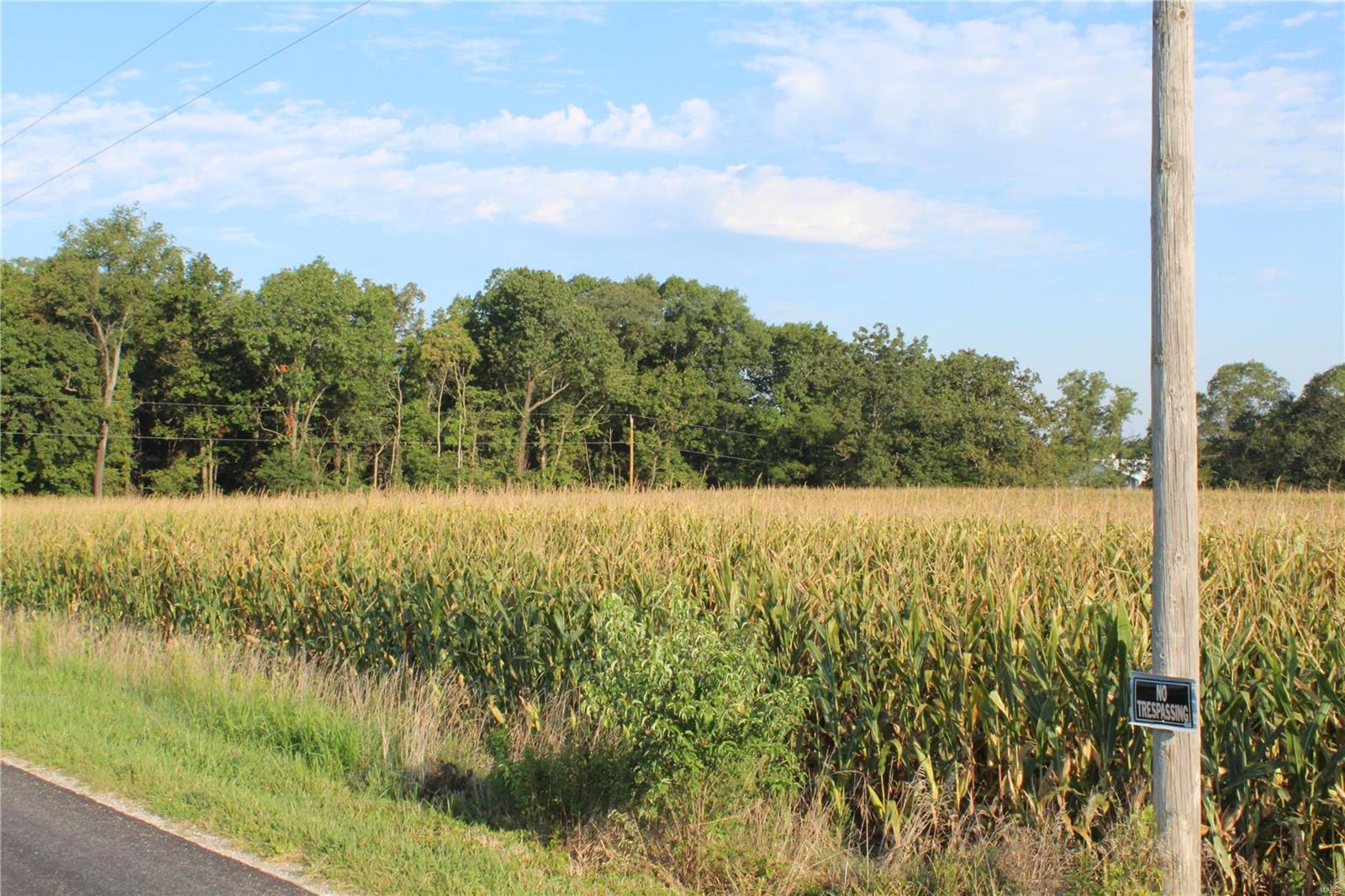 0 Mm Road Red Bud, IL 62278 - Photo 12 of 12