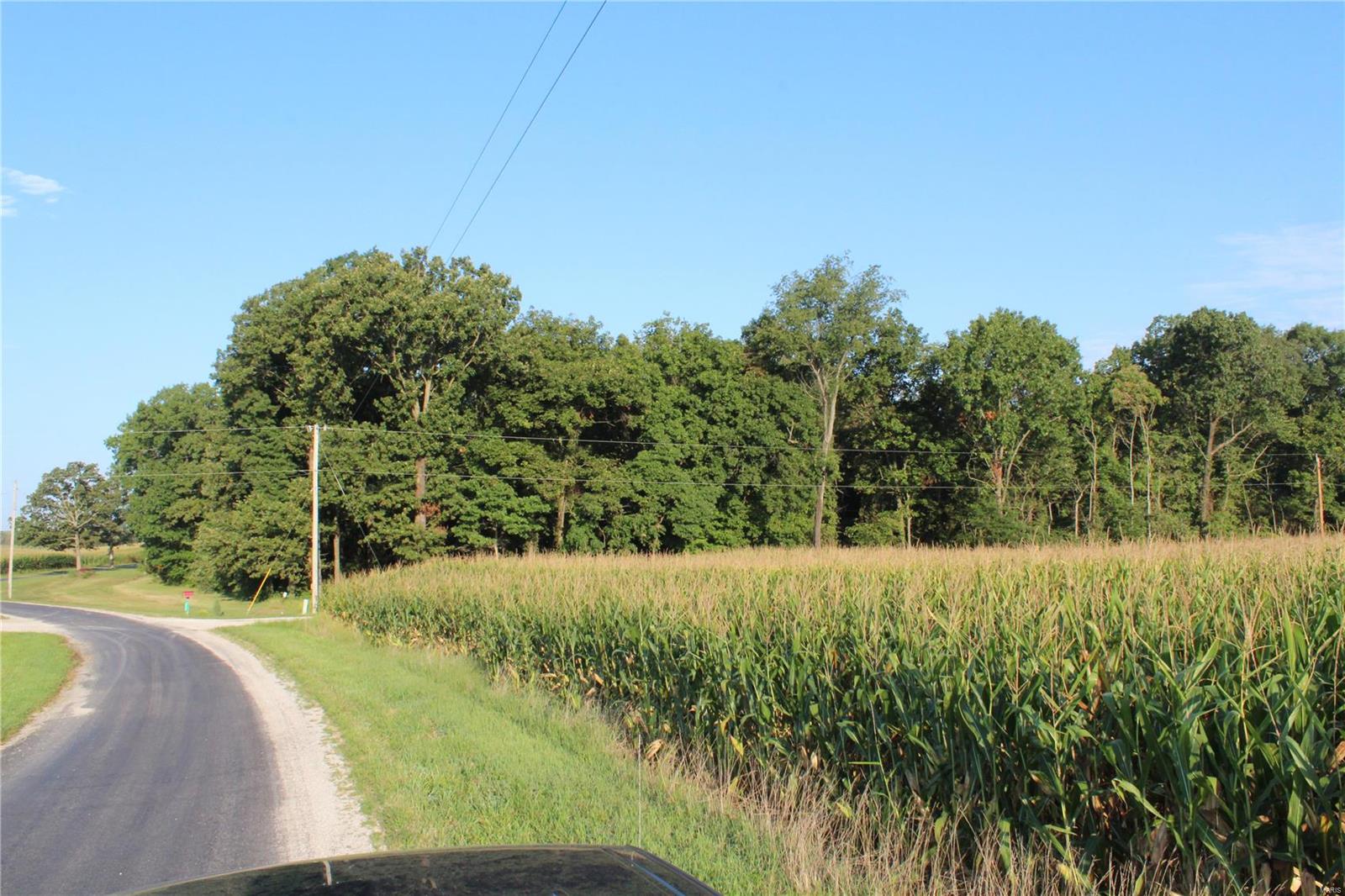 0 Mm Road Red Bud, IL 62278 - Photo 3 of 12