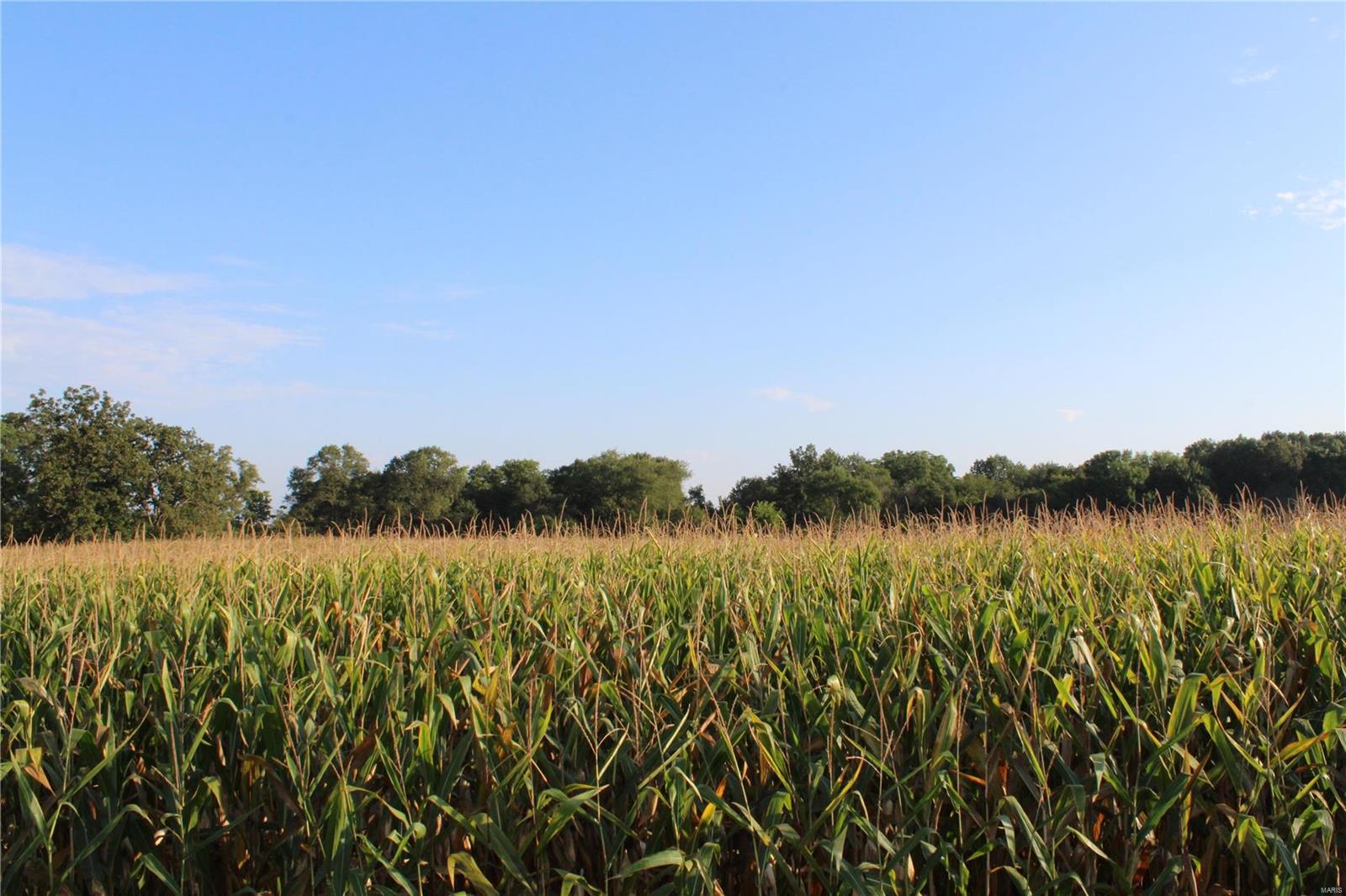 0 Mm Road Red Bud, IL 62278 - Photo 4 of 12