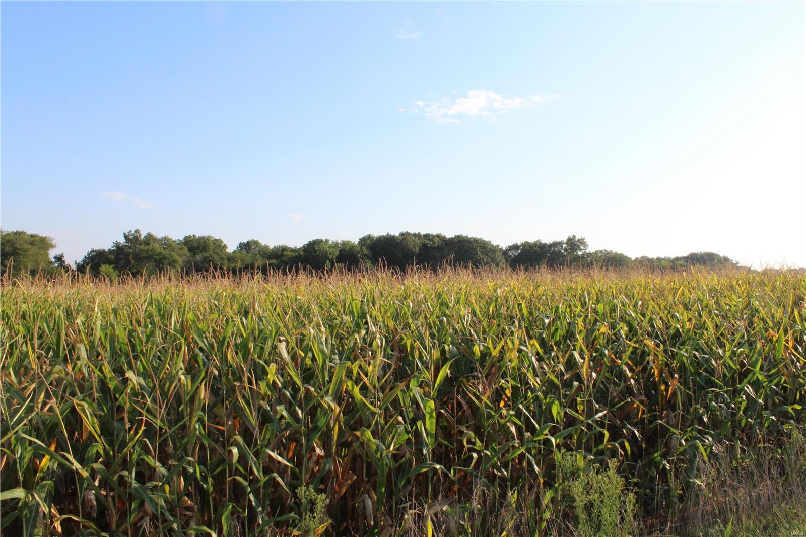 0 Mm Road Red Bud, IL 62278 - Photo 5 of 12