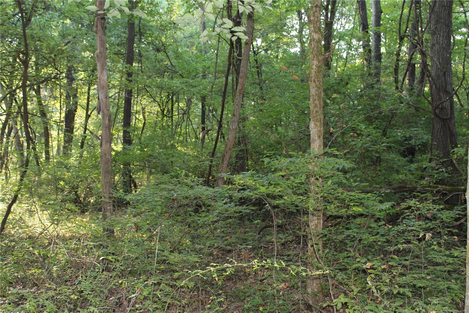 0 Mm Road Red Bud, IL 62278 - Photo 6 of 12