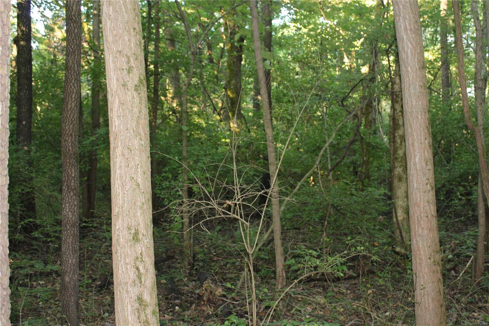 0 Mm Road Red Bud, IL 62278 - Photo 7 of 12