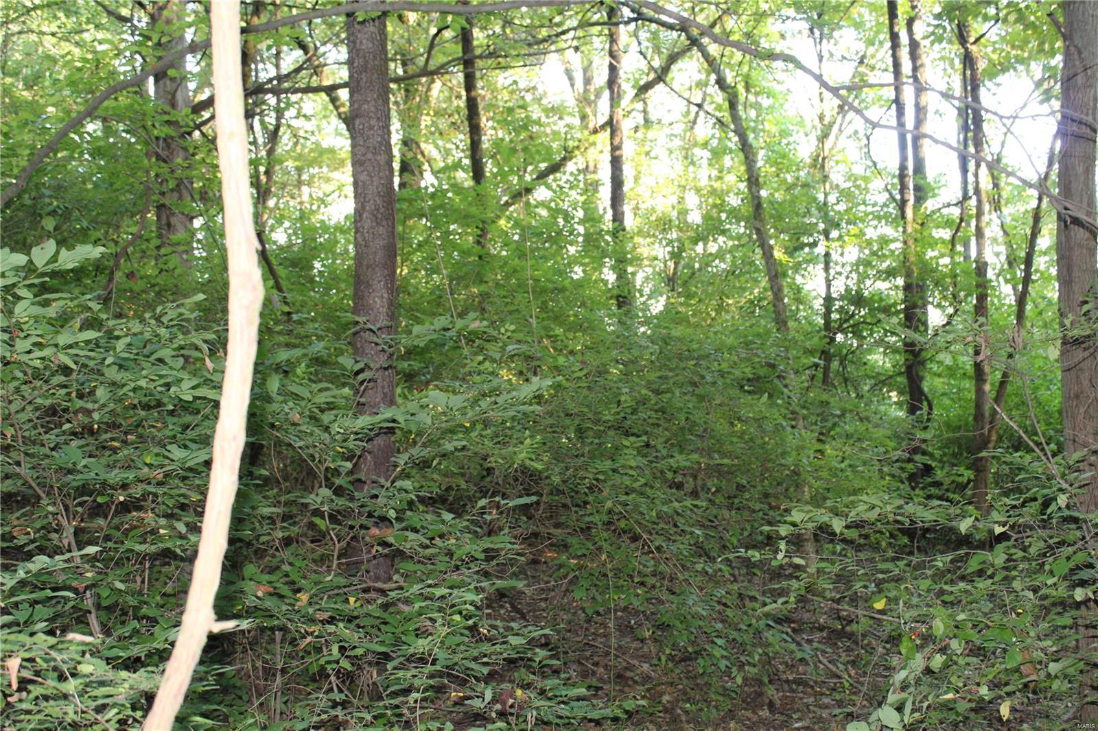 0 Mm Road Red Bud, IL 62278 - Photo 8 of 12