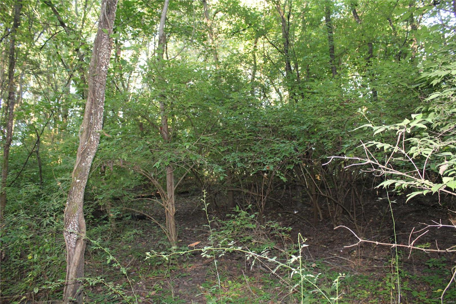 0 Mm Road Red Bud, IL 62278 - Photo 9 of 12