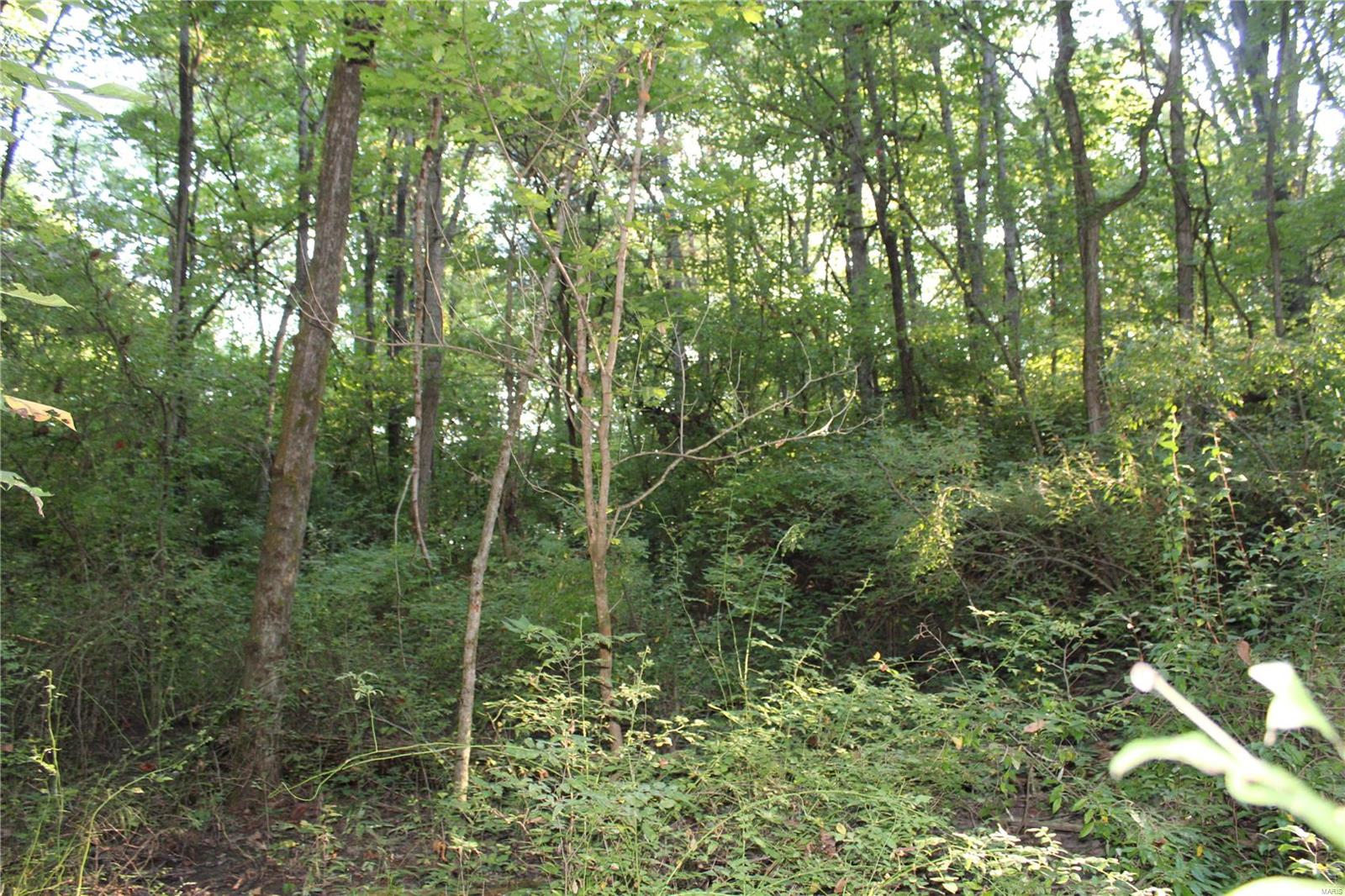 0 Mm Road Red Bud, IL 62278 - Photo 10 of 12