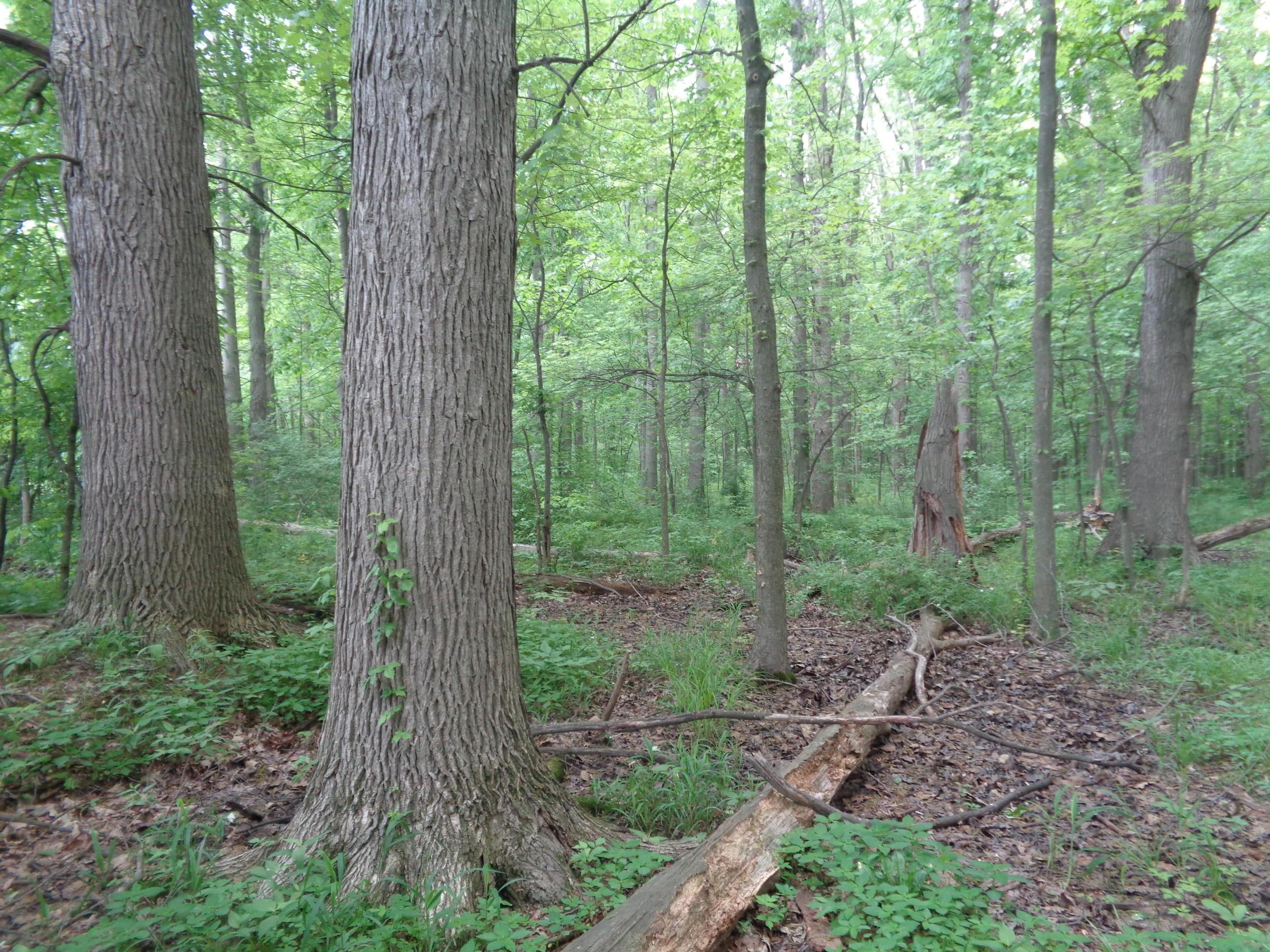 0 South R 58 Amherst, OH 44001 - Photo 1 of 13 Gallery Image 1