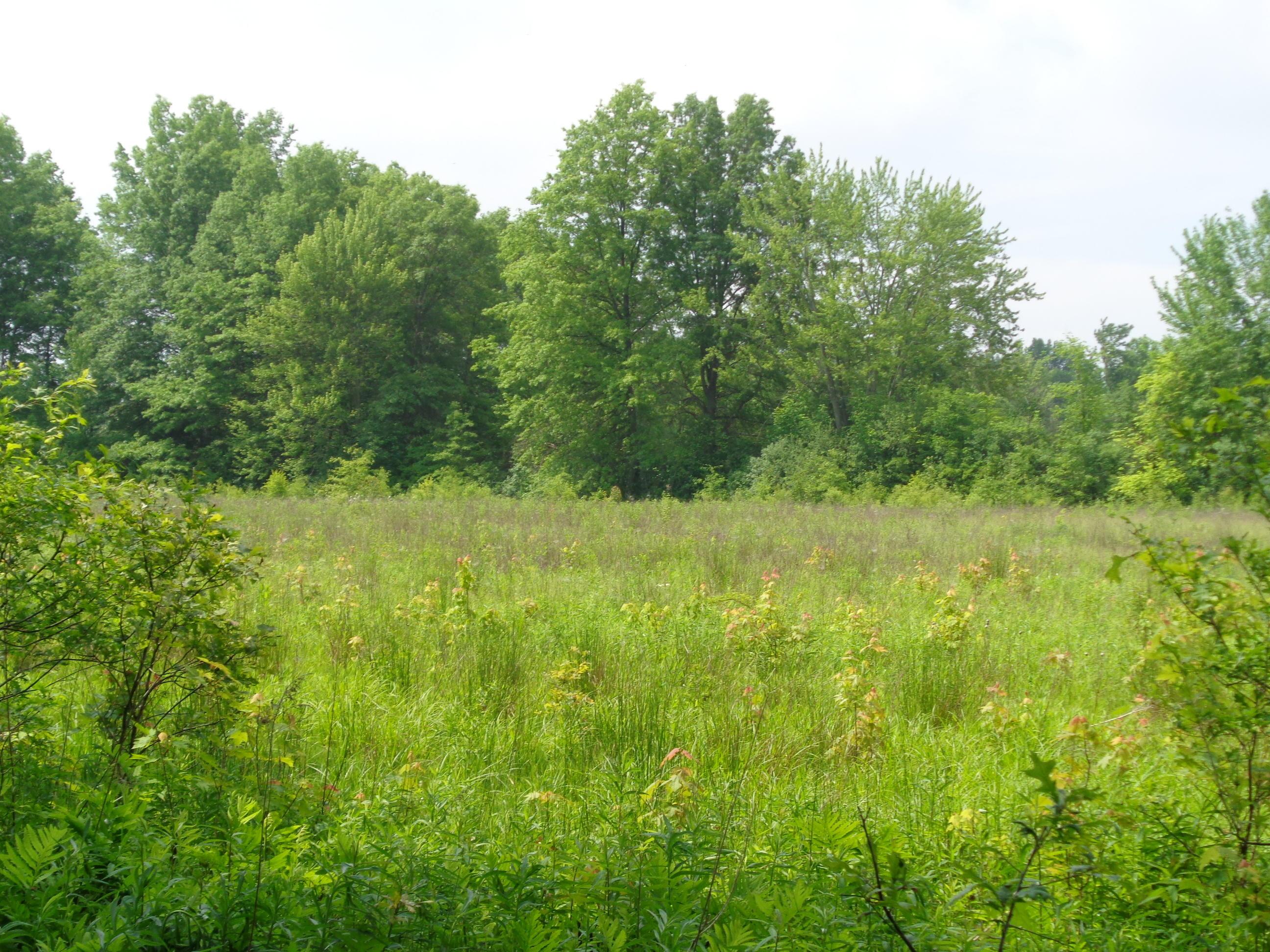 0 South R 58 Amherst, OH 44001 - Photo 3 of 13 Gallery Image 3