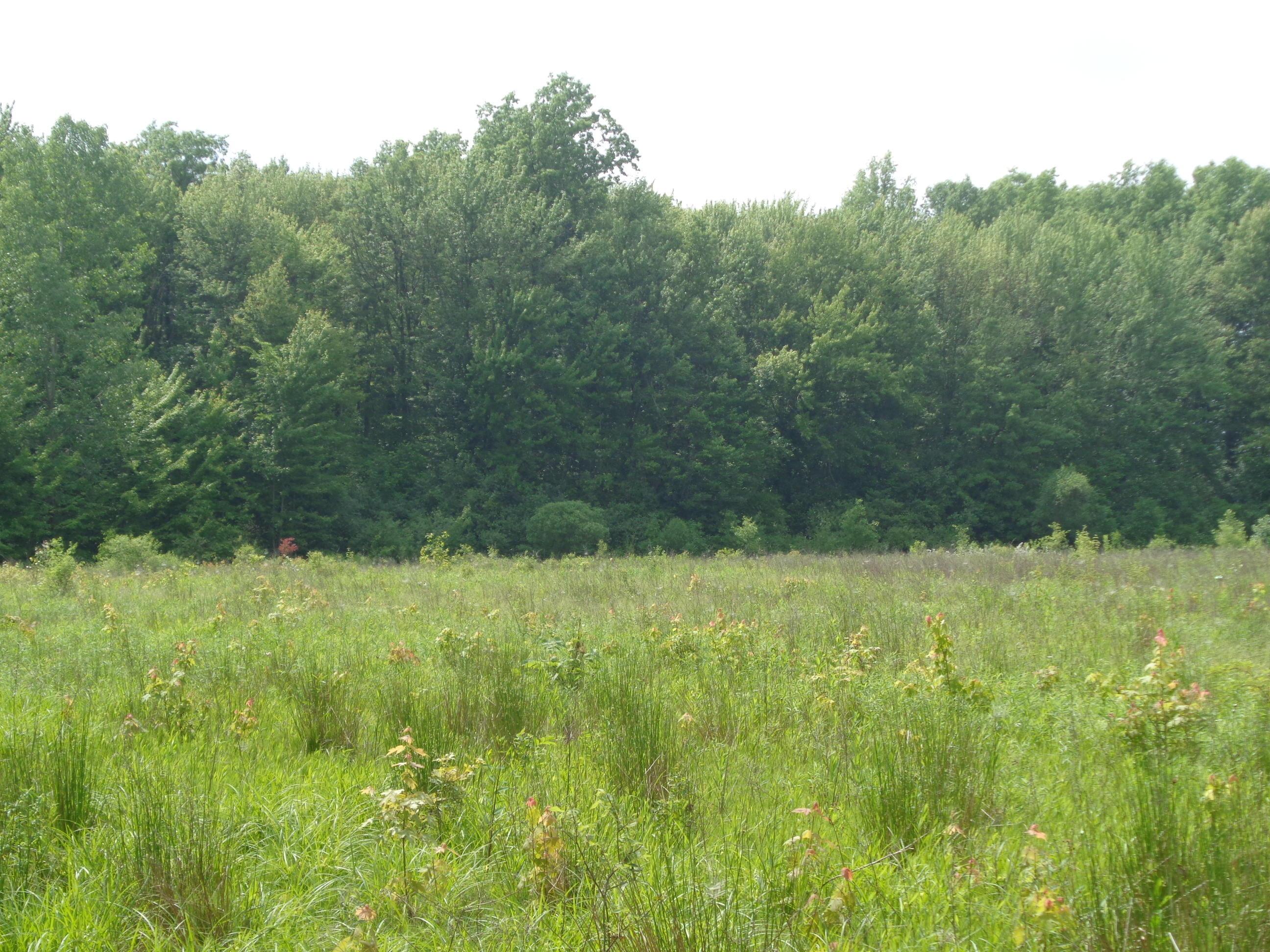 0 South R 58 Amherst, OH 44001 - Photo 4 of 13 Gallery Image 4