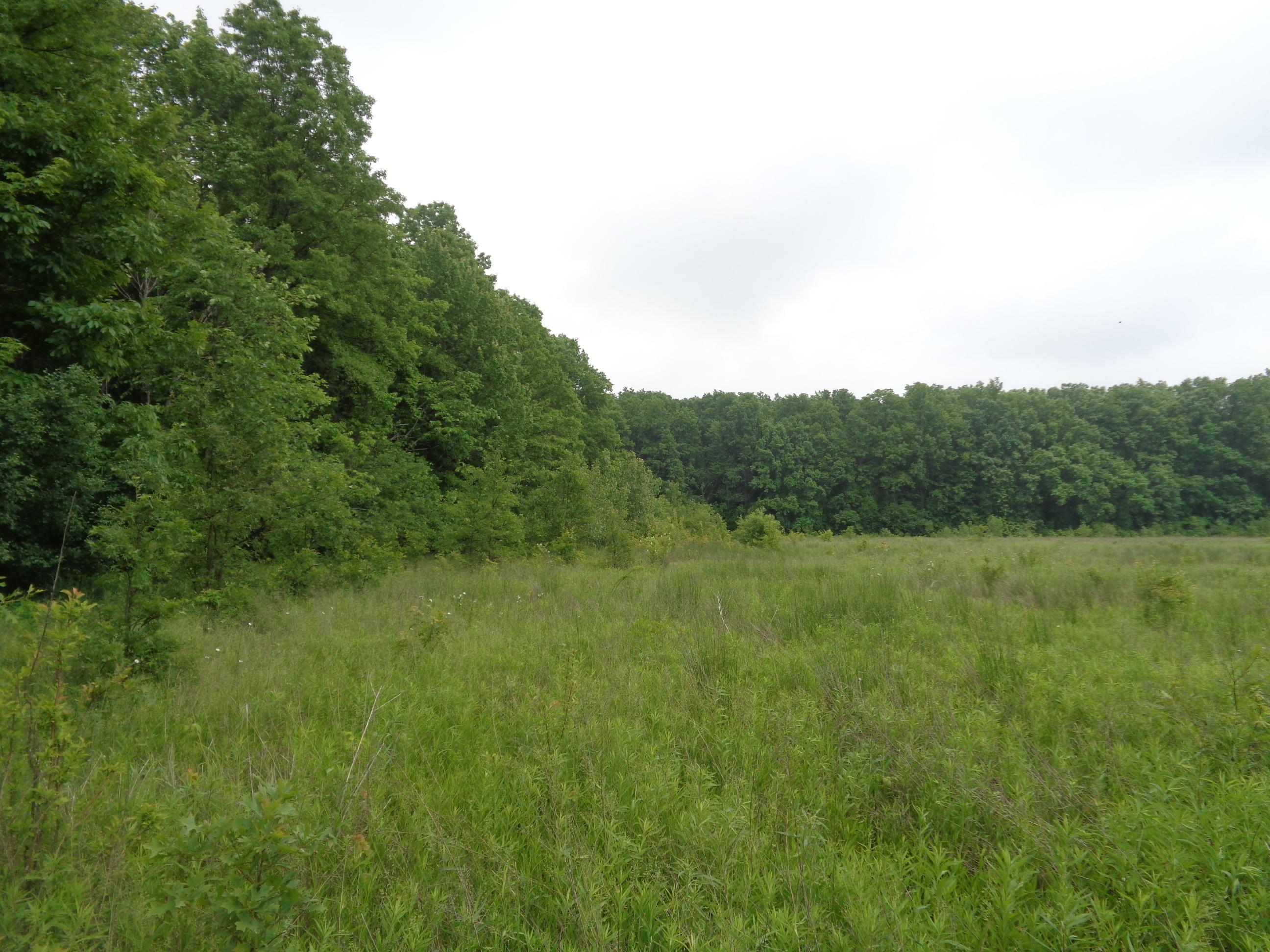0 South R 58 Amherst, OH 44001 - Photo 8 of 13 Gallery Image 8