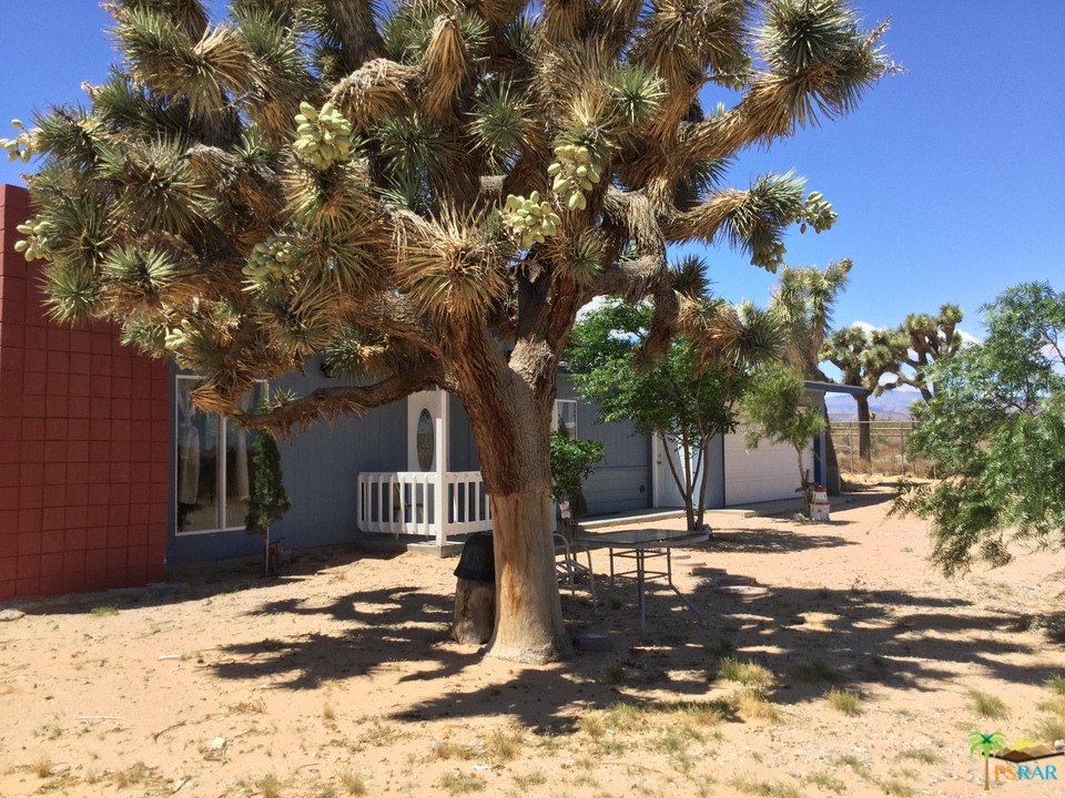 59621 Stearman Road Landers, CA 92285 - Photo 5 of 27 Additional Photo