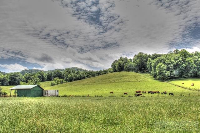 830 Sutherland Road Creston, NC 28615 - Photo 16 of 30 Gallery Image 16