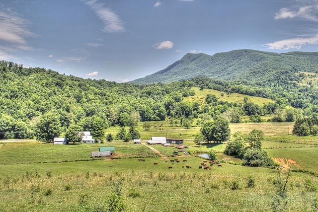 830 Sutherland Road Creston, NC 28615 - Photo 21 of 30 Gallery Image 21