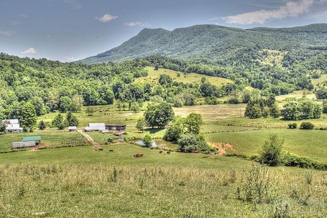 830 Sutherland Road Creston, NC 28615 - Photo 23 of 30 Gallery Image 23
